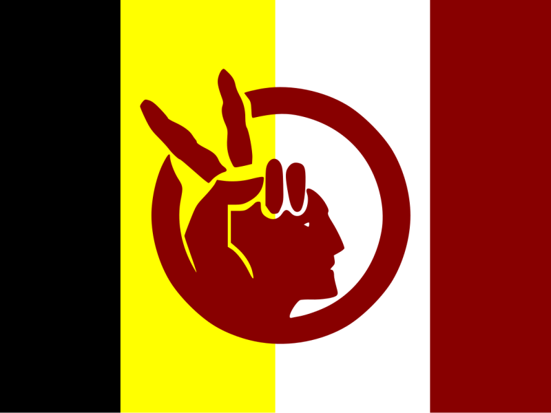 Opinion: It’s a Good Day to be&nbsp;Indigenous